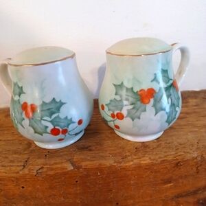 Vintage Holly Berry Salt and Pepper Shakers Set